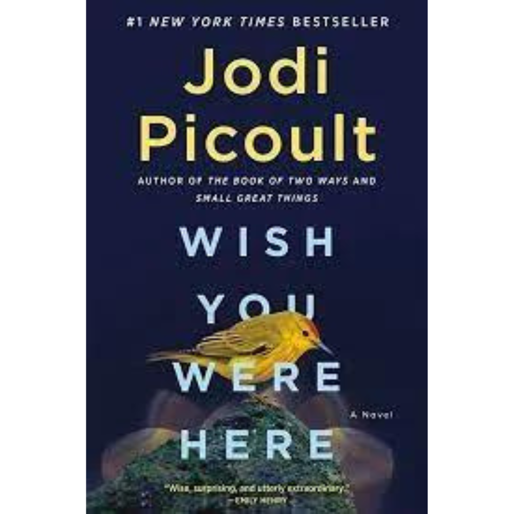 Wish You Were Here: A Novel - Top 6 Books To Buy In 2024
